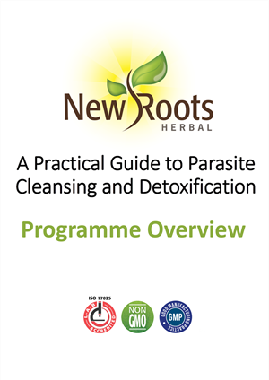 Portada Programme Overview-crop